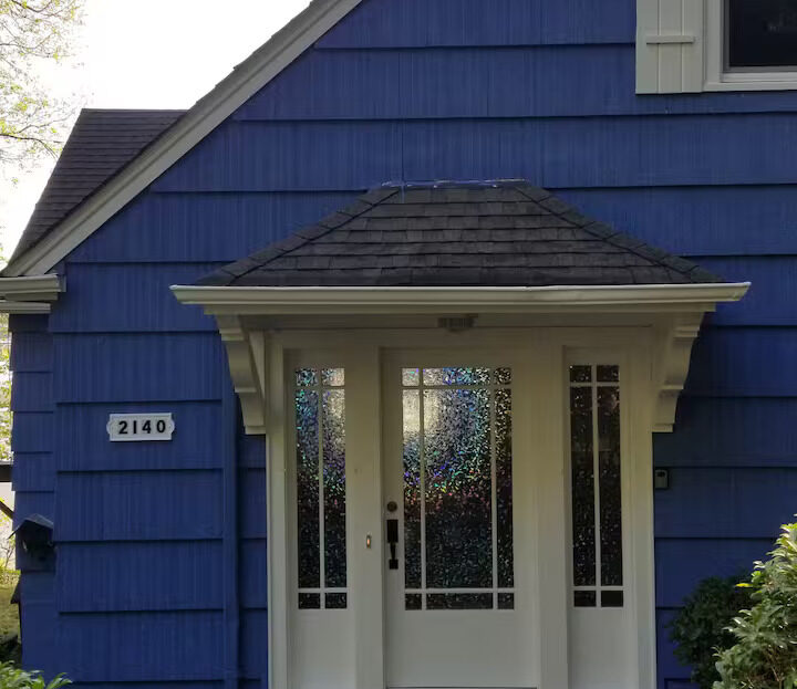 video image